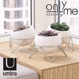 Настолна декорация UMBRA POTSI - комплек..