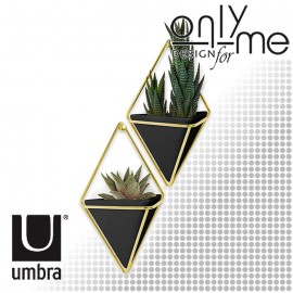 Стенна декорация UMBRA TRIGG - 2бр. малк..